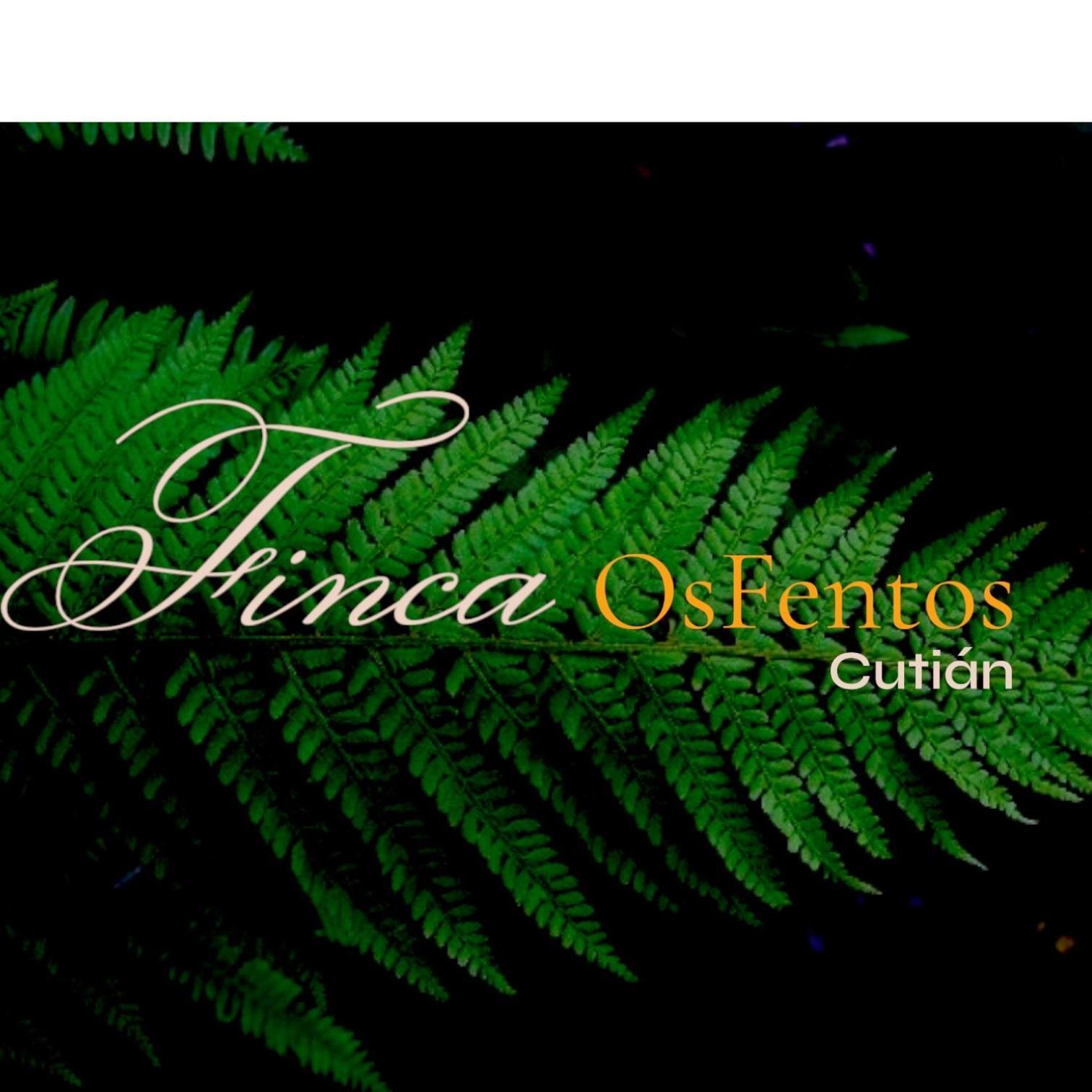 Os Fentos Pontevedra Exterior foto